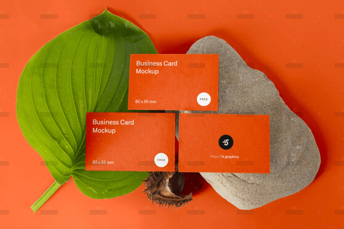 Card mockup - WWM - Worldwide Digital Marketing Agency